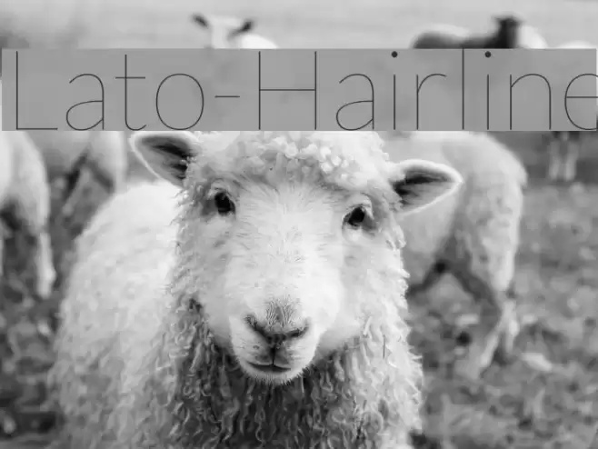 Lato-Hairline Font examples