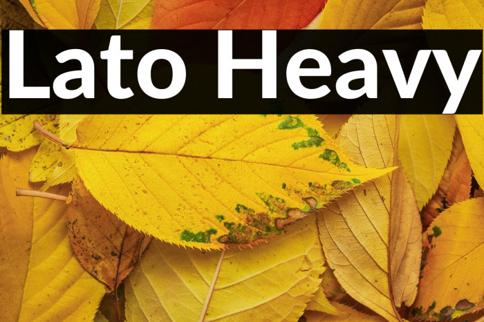 Lato Heavy Example 1