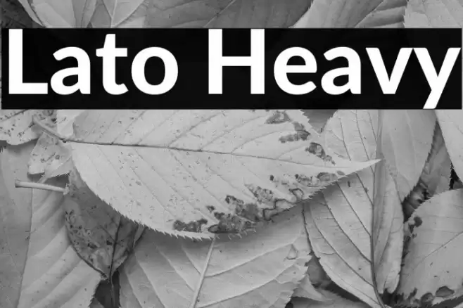 Lato Heavy Font examples