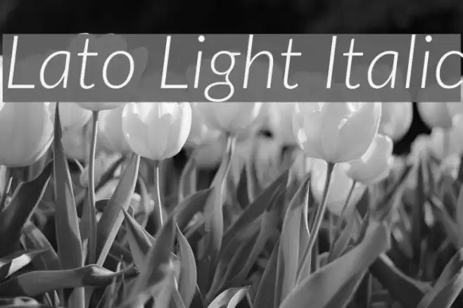 Lato Light Italic Font examples