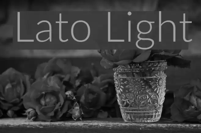 Lato Light  examples