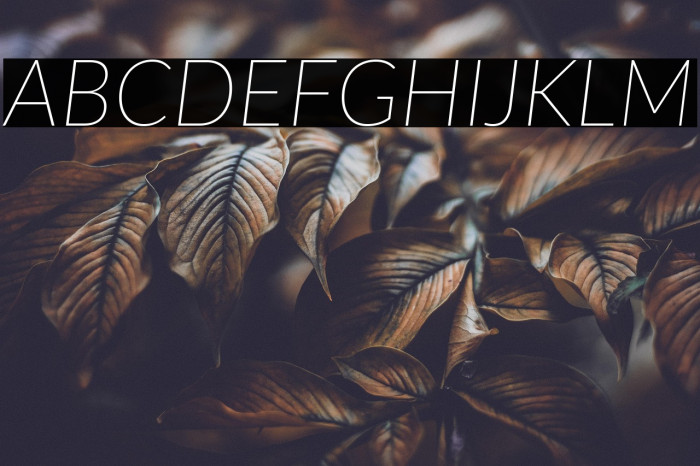 Lato Thin Italic Example 2