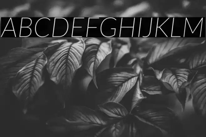 Lato Thin Italic Font examples