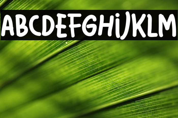 Latso Free Personal Used Example 2