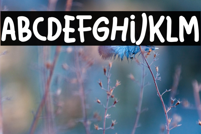 Latso Free Personal Used Example 3