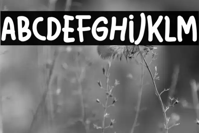 Latso Free Personal Used Font examples