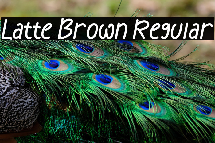Latte Brown Regular Example 3
