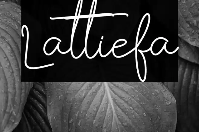 Lattiefa Font examples