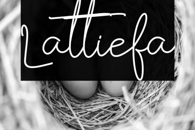 Lattiefa Font examples