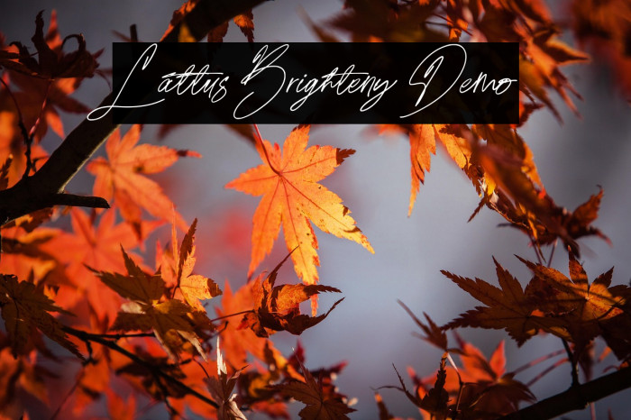 Lattus Brighteny Demo Example 1