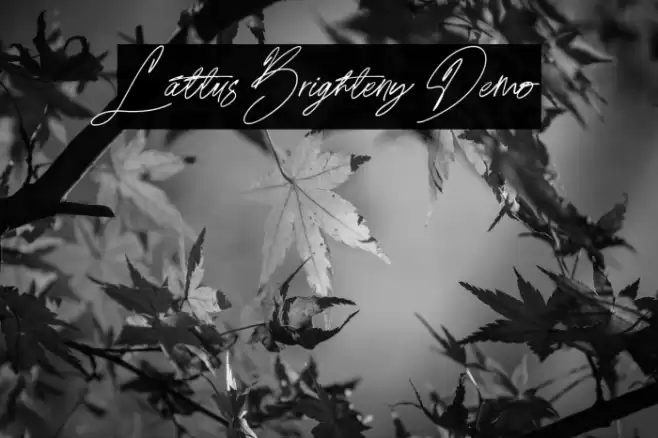 Lattus Brighteny Demo Fuentes examples