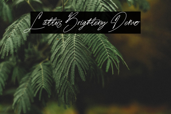 Lattus Brighteny Demo Example 2
