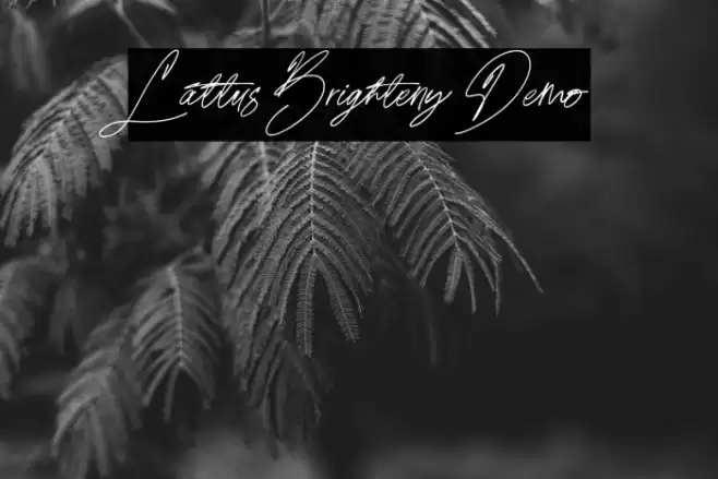 Lattus Brighteny Demo Fuentes examples