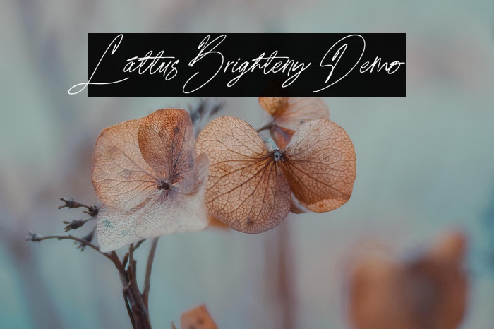 Lattus Brighteny Demo Example 3