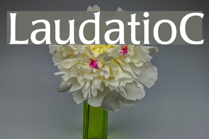 LaudatioC Font examples