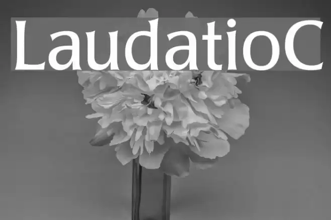 LaudatioC Font examples