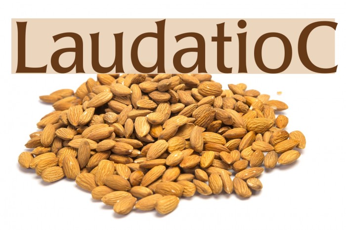 LaudatioC Font examples
