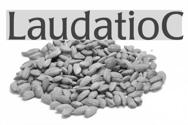 LaudatioC Font examples