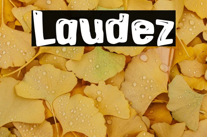 Laudez Example 2