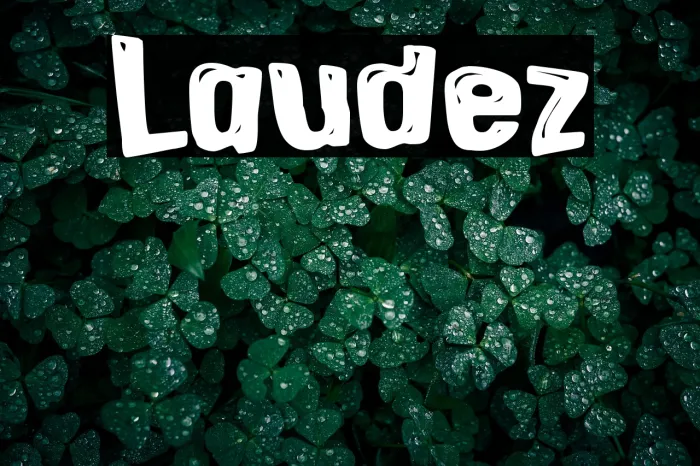 Laudez Example 3