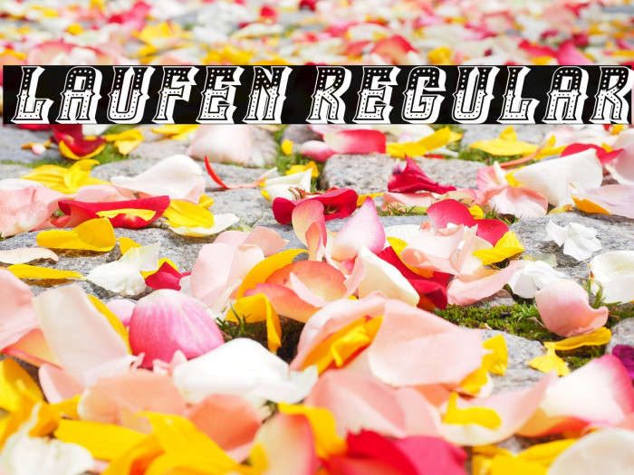 Laufen Regular Example 2