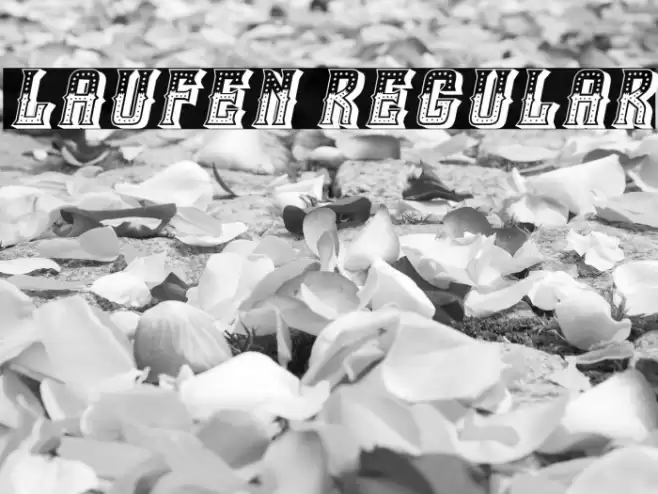 Laufen Regular Font examples
