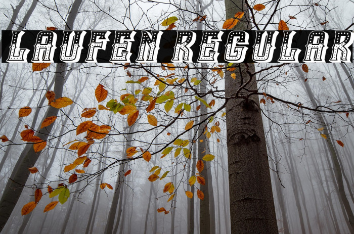 Laufen Regular Example 3