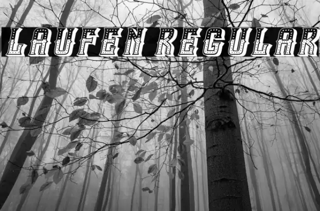 Laufen Regular Font examples