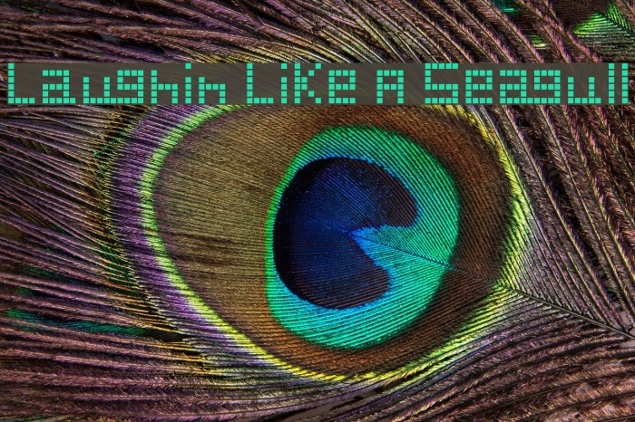 Laughin Like A Seagull Font examples
