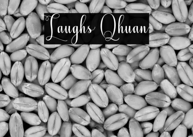 Laughs Qhuan Font examples