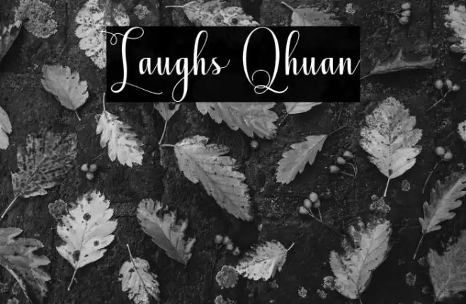 Laughs Qhuan Font examples