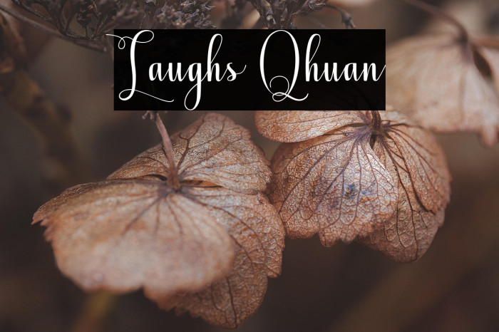 Laughs Qhuan Example 3