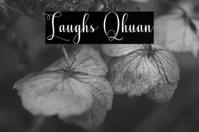 Laughs Qhuan Font examples