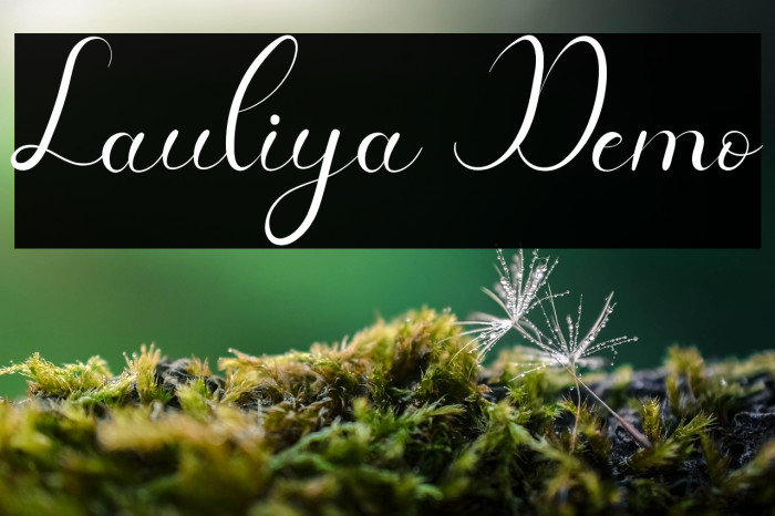 Lauliya Demo Example 1
