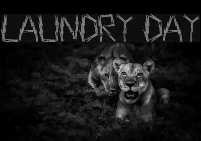 Laundry Day Font examples