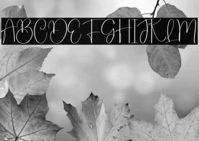 Laundry Schriftart examples