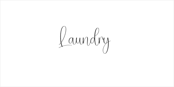 Laundry Logo