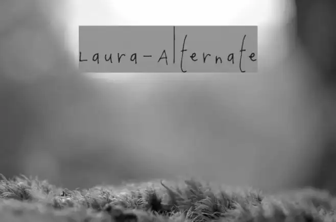 Laura-Alternate Example 3