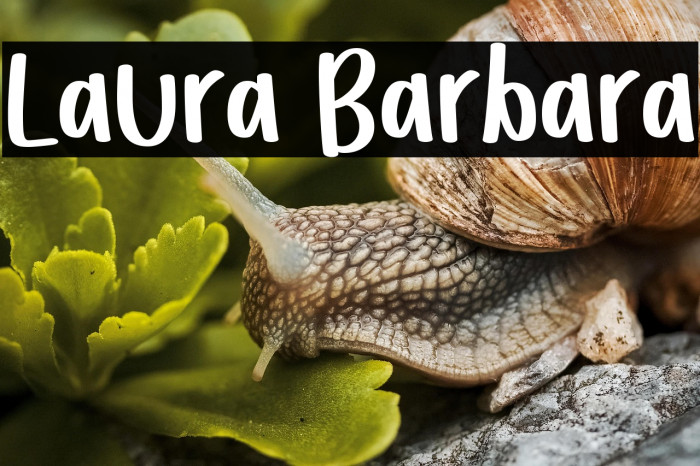 Laura Barbara Example 1