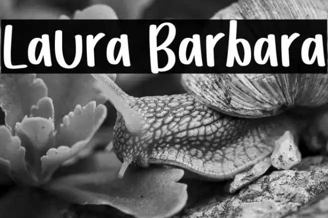 Laura Barbara Example 1