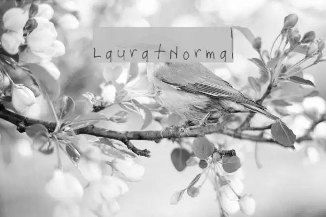 Laura-Normal Example 1