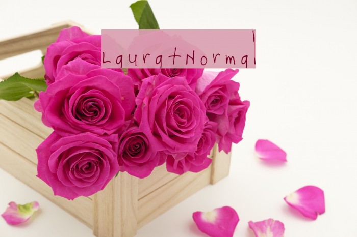 Laura-Normal Font examples