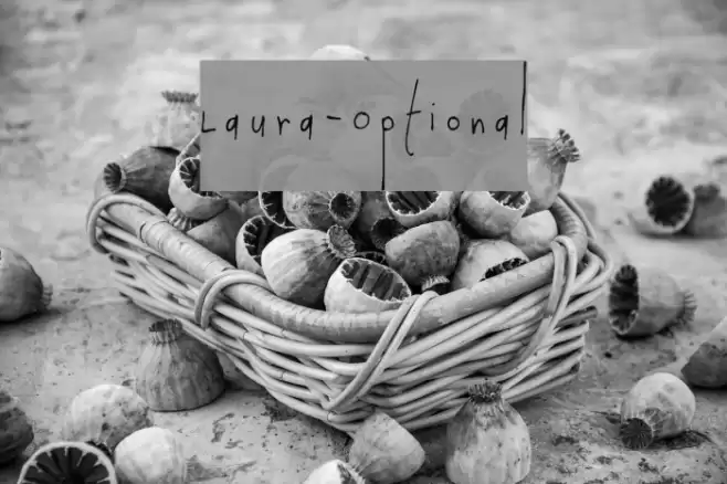 Laura-Optional Font examples