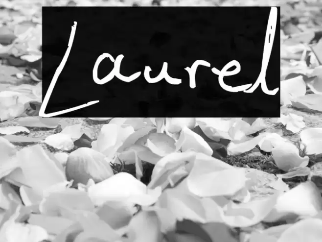 Laurel 字体 examples