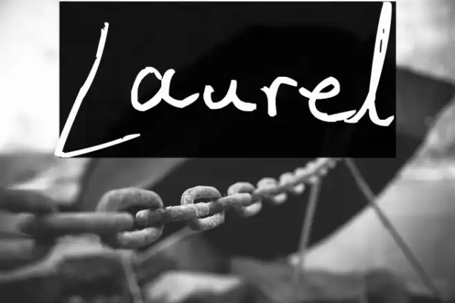 Laurel 字体 examples