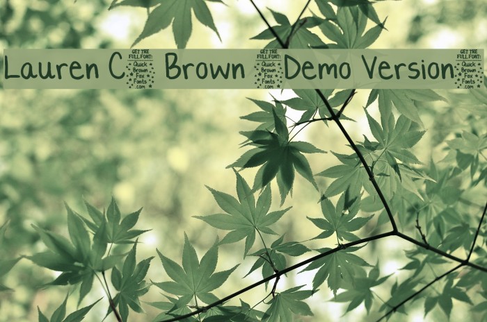 Lauren C. Brown [Demo Version] Example 1