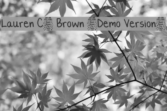 Lauren C. Brown [Demo Version] Polices examples