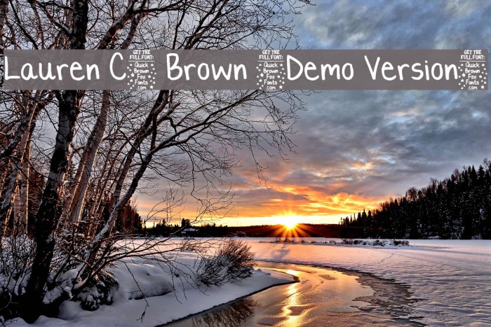 Lauren C. Brown [Demo Version] Example 3