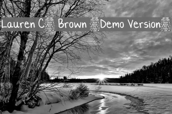 Lauren C. Brown [Demo Version] Polices examples