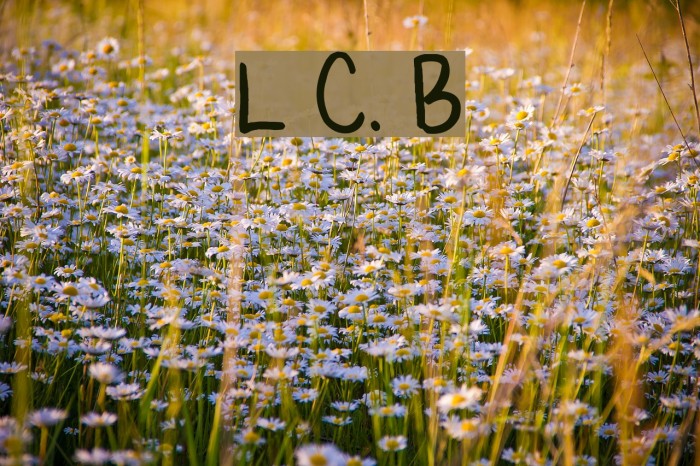 Lauren C. Brown Font examples